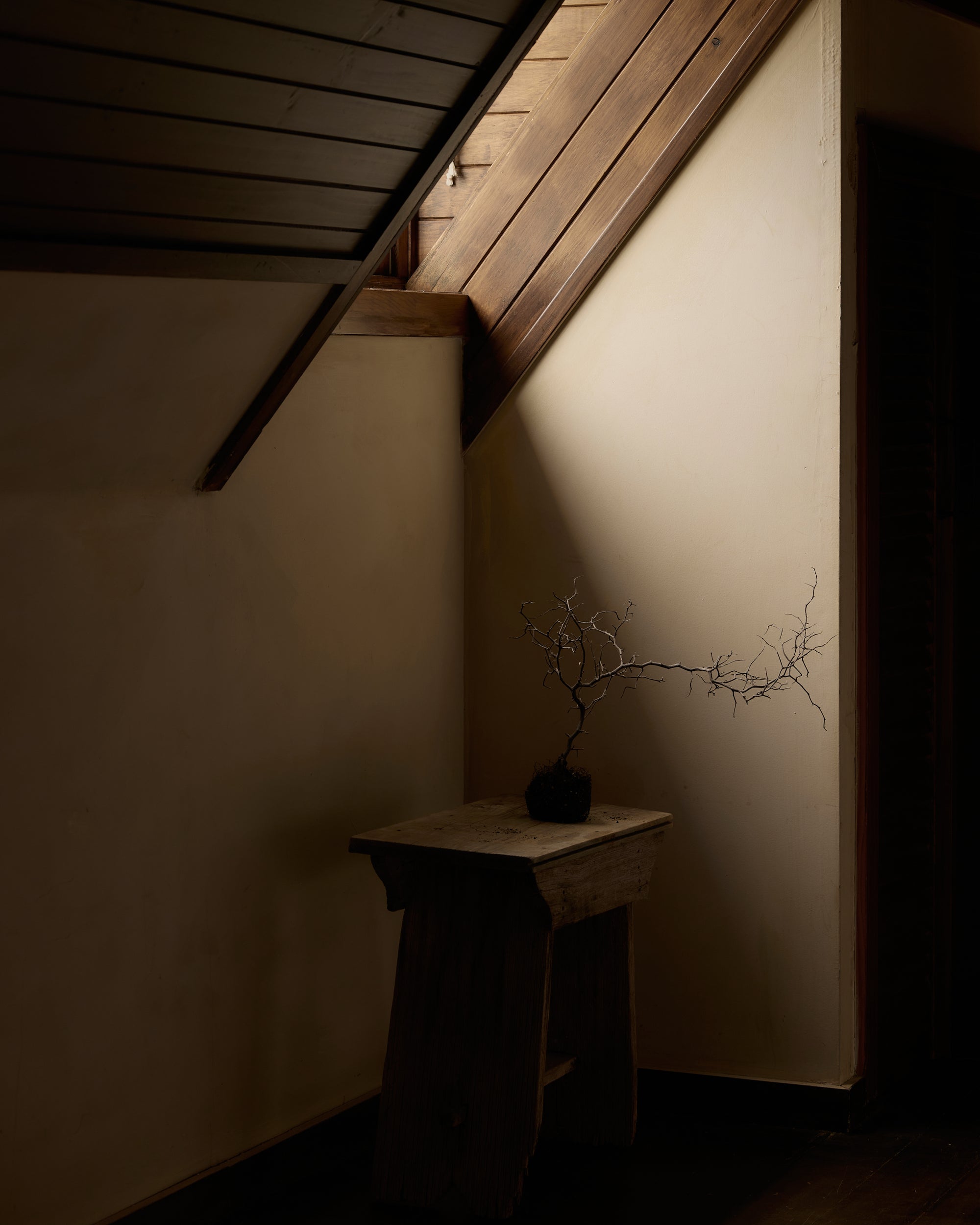 Slideshow Image 1
